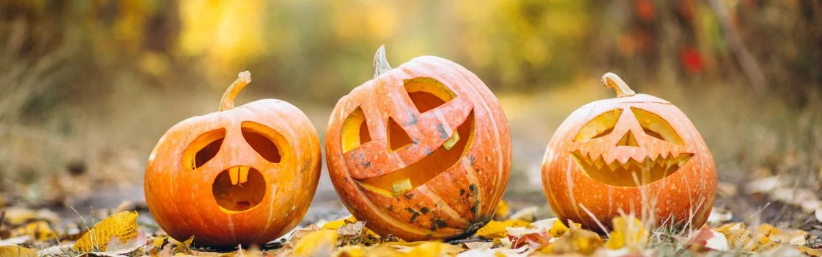 Fall Into Fun: Fall Festivals near Charlottesville