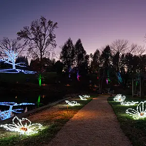 Winter Wander Event in Charlottesville
