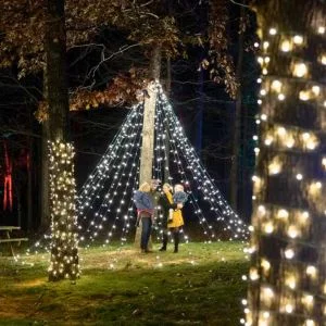 Veritas Illuminated